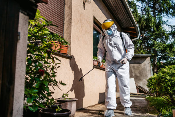 Best Best Pest Control Companies  in Beach Haven West, NJ
