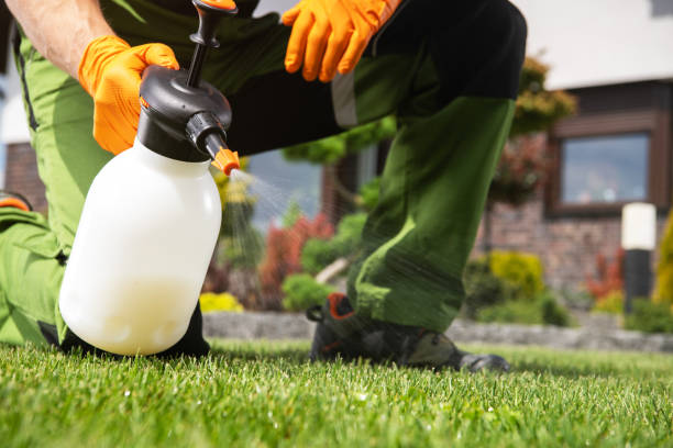 Best Pest Removal Services  in Beach Haven West, NJ