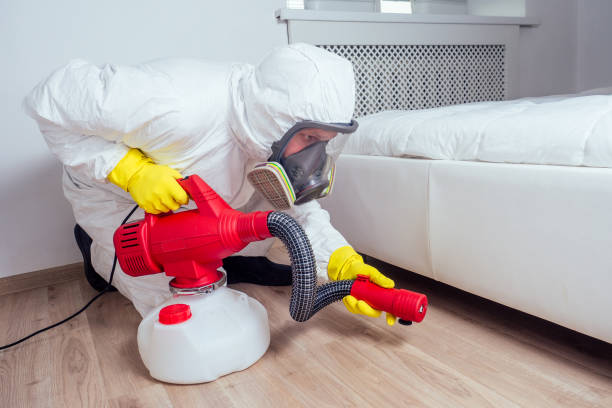 Best Local Pest Control Services  in Beach Haven West, NJ