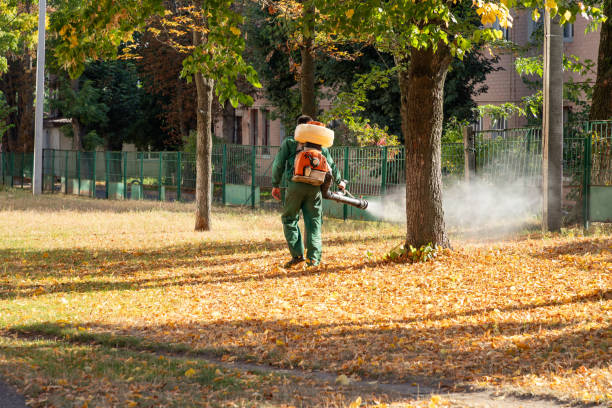 Best Pest Inspection Near Me  in Beach Haven West, NJ