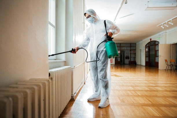 Best Affordable Pest Control Services  in Beach Haven West, NJ