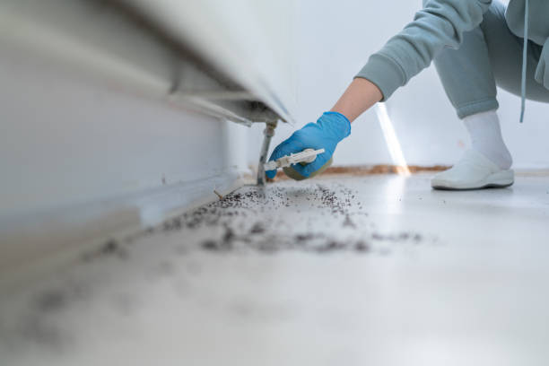 Professional Pest Control in Beach Haven West, NJ